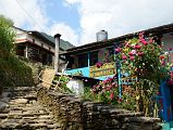 Nayapul To Ghorepani 19 Walking Through Ulleri 